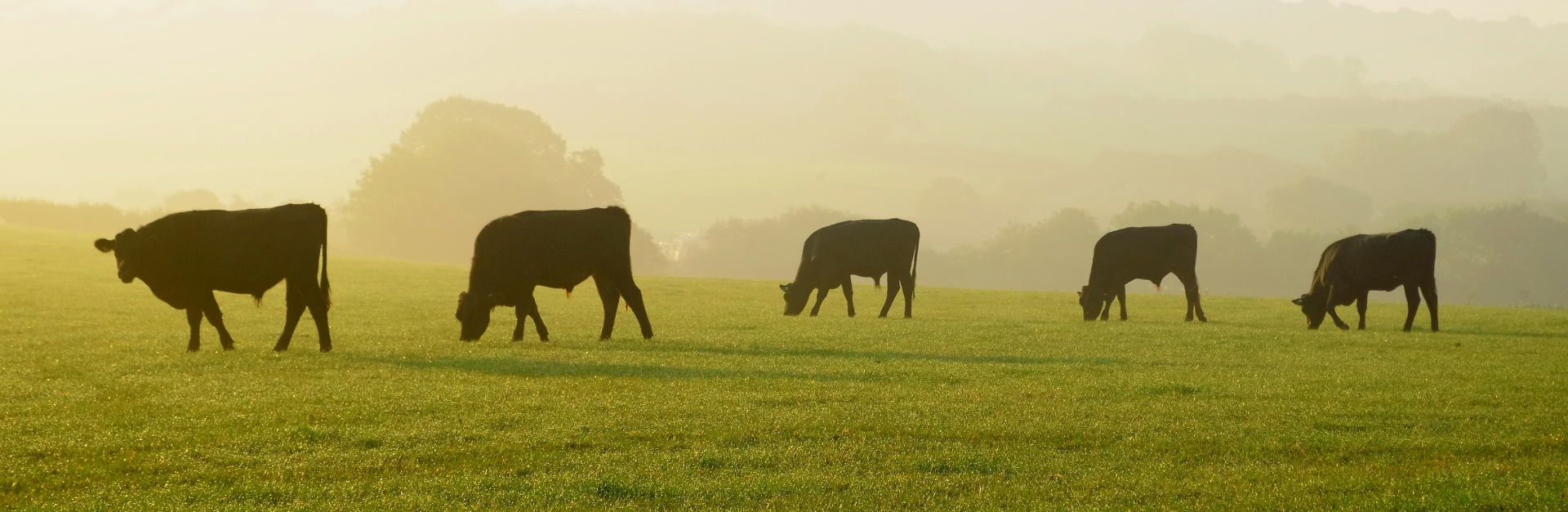 Farmers header