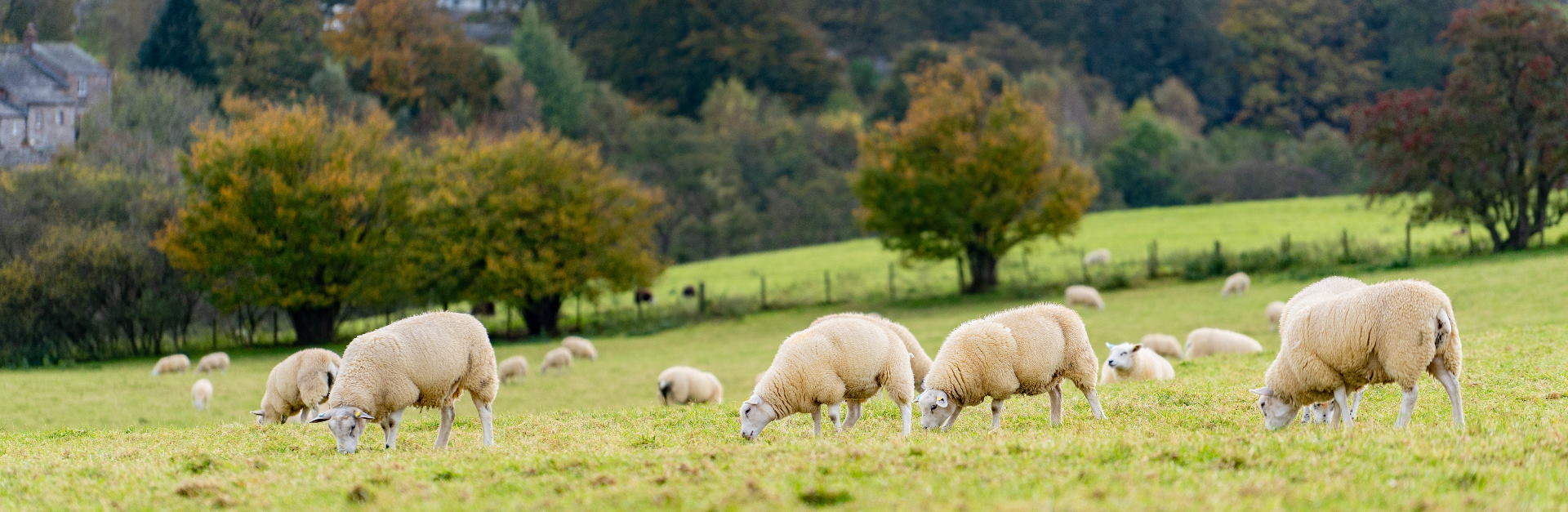 Farmers header